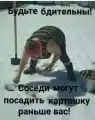 17768938168612.png