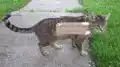 17770208276189.png