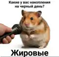 17770309754083.png