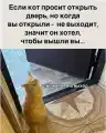 17771153296028.png