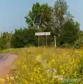 17771153296052.png