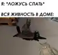 17773771446685.png