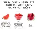 17777420739585.png
