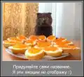 17777420739611.png
