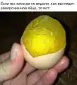 17778027879361.png