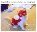 17778030052924.png