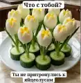 17780004221509.png