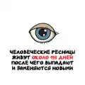 17780013219382.png