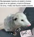 17787706605777.png