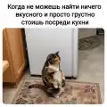 17788632730578.png