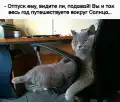 17789487015090.png