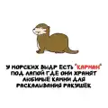 17789487919158.png