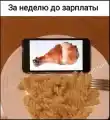 17790243279251.png