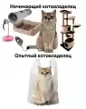 17793880661437.png