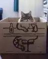 17797296672026.png
