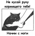 17798926626187.png