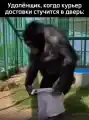 17799083945027.png