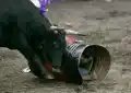 17799720916420.png