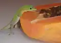17799720916434.png