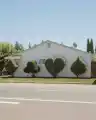 17799720916449.png