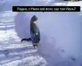 17802519138535.png