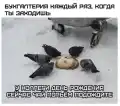 17802519138569.png
