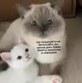 17802519138573.png