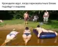 17804184889255.png