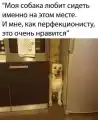 17804184889274.png
