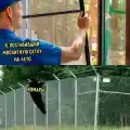 17804205388197.png