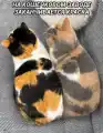 17807453660936.png