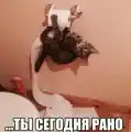 17807453660948.png