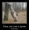 17808557937269.png
