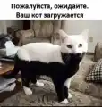 17808567665208.png