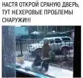17808571166383.png