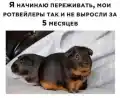 17809251309655.png
