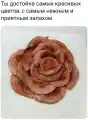 17809251309694.png
