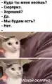 17809255661543.png