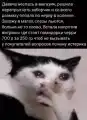 17811721617312.png