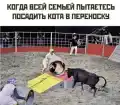 17811721617329.png