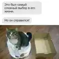 17813395216830.png