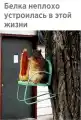17813416391235.png
