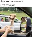 17816279820331.png