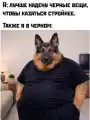 17816831804730.png