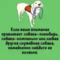 17816831804757.png