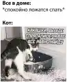 17818047490350.png