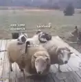 17818047490374.png