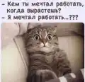 17818047490419.png