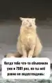 17818896632674.png
