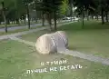 17818896632748.png